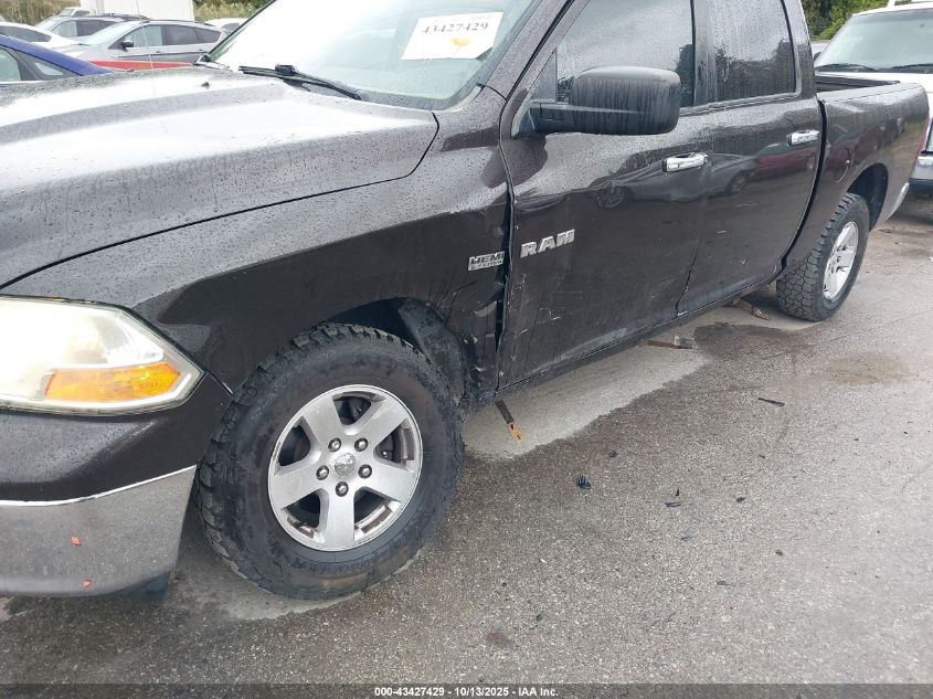 2010 Dodge Ram 1500 Slt/Sport/Trx VIN: 1D7RV1CT6AS244218 Lot: 43427429