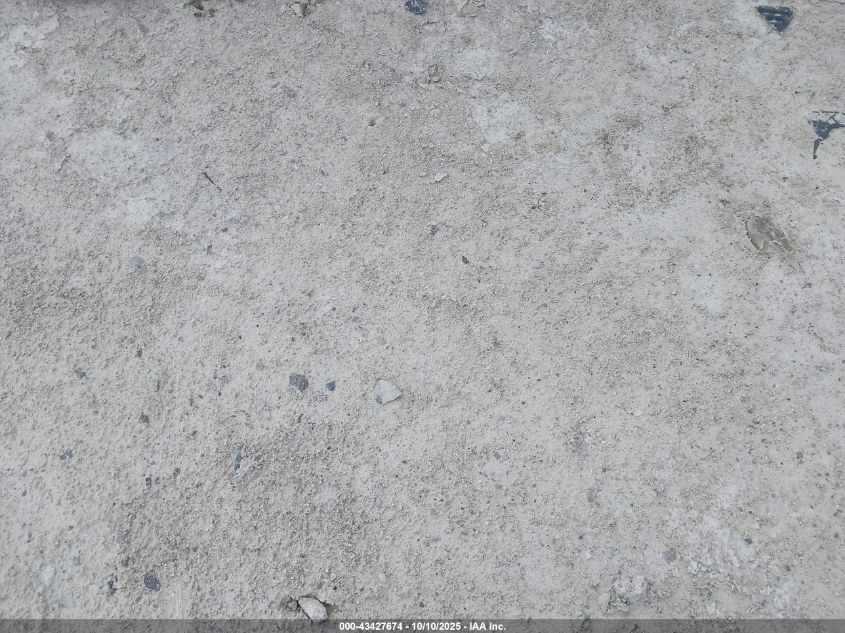 2024 Harley-Davidson Flhx VIN: 1HD1KB716RB628489 Lot: 43427674