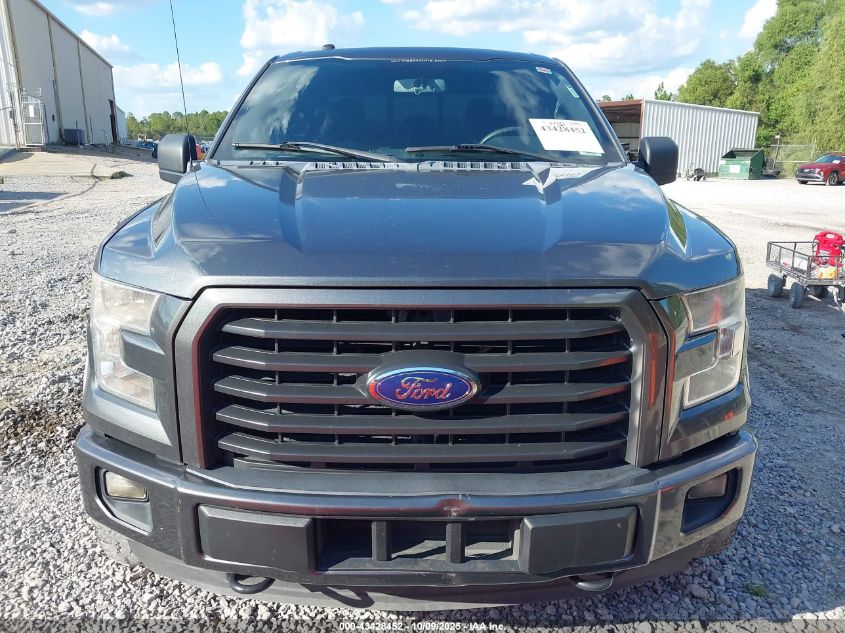 2016 Ford F-150 Xlt VIN: 1FTEW1EG8GFA96175 Lot: 43428452