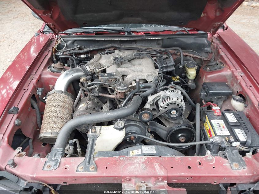 2001 Ford Mustang VIN: 1FAFP44481F178950 Lot: 43428612