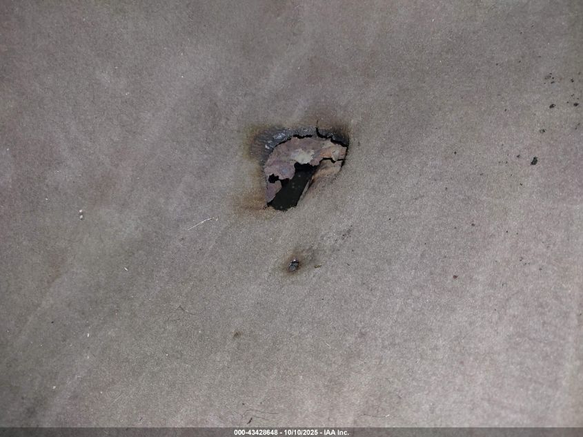 1999 Lincoln Town Car Executive VIN: 1LNHM81W7XY660889 Lot: 43428648