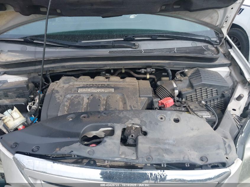 2007 Honda Odyssey Ex-L VIN: 5FNRL38617B461681 Lot: 43428723