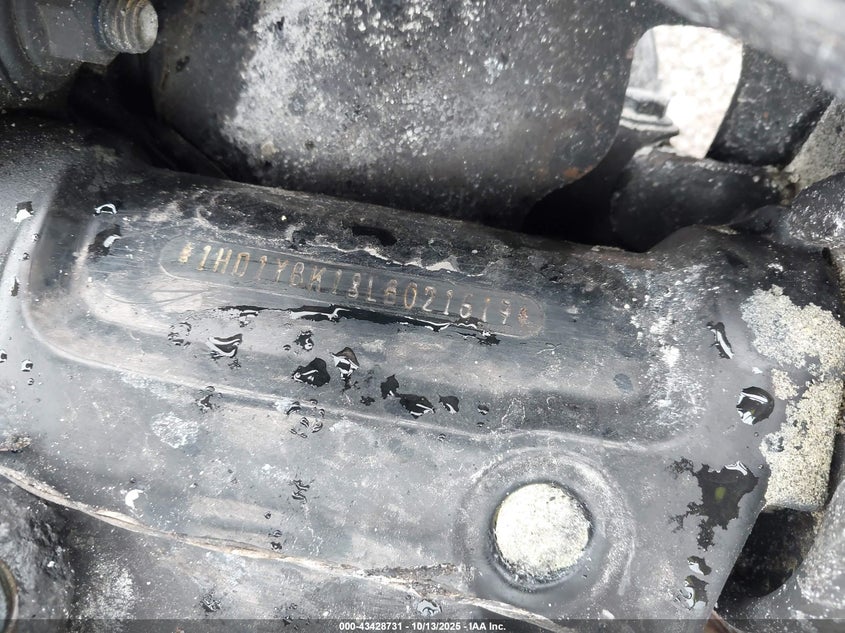 2020 Harley-Davidson Flhcs VIN: 1HD1YBK18LB021619 Lot: 43428731