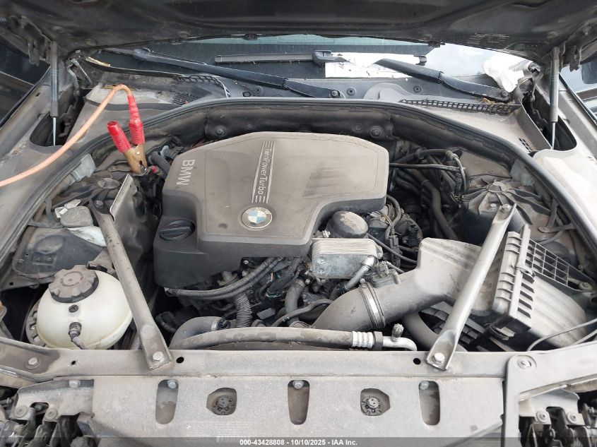 2014 BMW 528I VIN: WBA5A5C50ED504973 Lot: 43428808