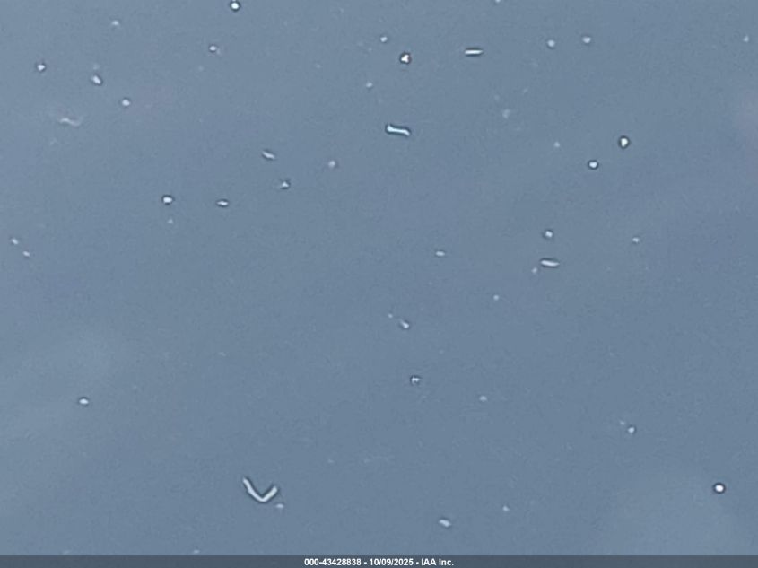 2022 Tesla Model 3 Long Range Dual Motor All-Wheel Drive VIN: 5YJ3E1EB4NF241681 Lot: 43428838