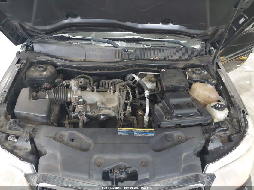 2008 Pontiac Torrent VIN: 2CKDL33F886032572 Lot: 43428848