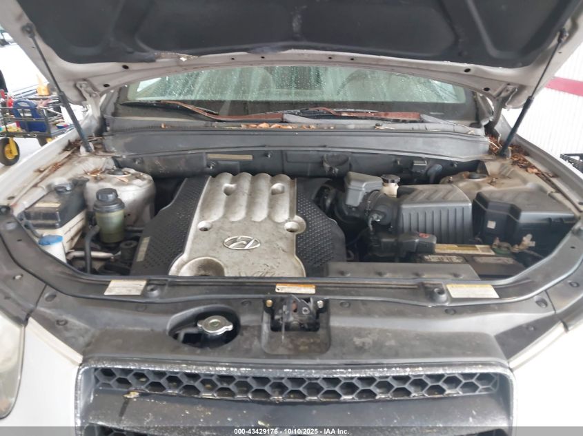 2007 Hyundai Santa Fe Gls VIN: 5NMSG13D17H017005 Lot: 43429176