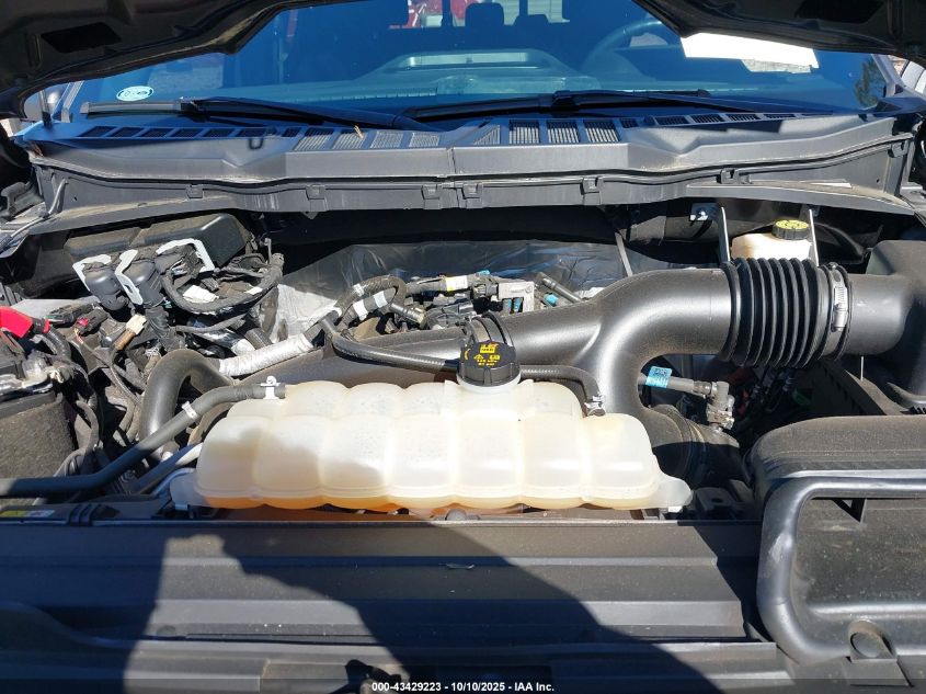 2021 Ford F-150 Xlt VIN: 1FTEW1EPXMKF10818 Lot: 43429223