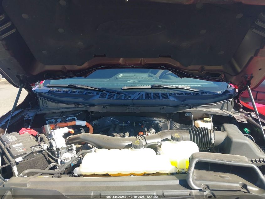 2024 Ford F-150 Xlt VIN: 1FTFW3LD3RFA38051 Lot: 43429249