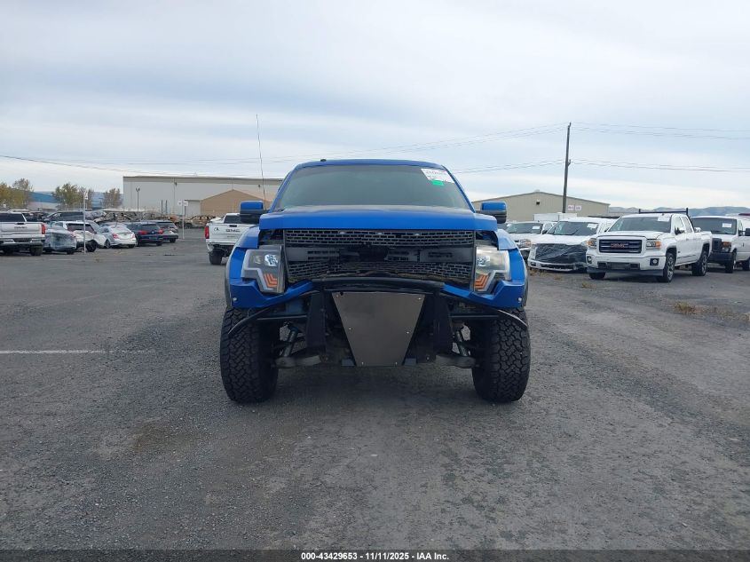 2010 Ford F-150 Svt Raptor VIN: 1FTEX1E68AFA59011 Lot: 43429653