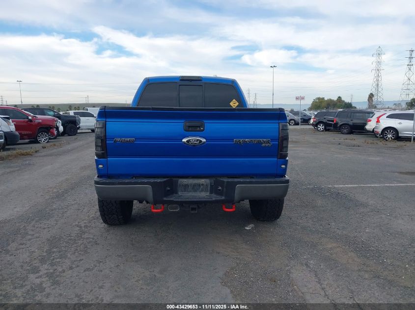 2010 Ford F-150 Svt Raptor VIN: 1FTEX1E68AFA59011 Lot: 43429653