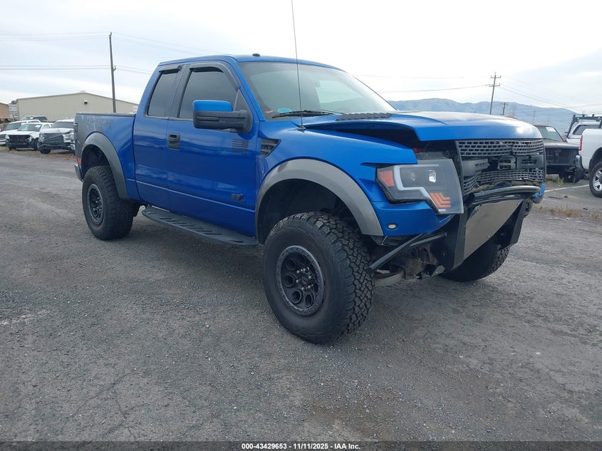 1FTEX1E68AFA59011 2010 FORD F-150 photo no. 12