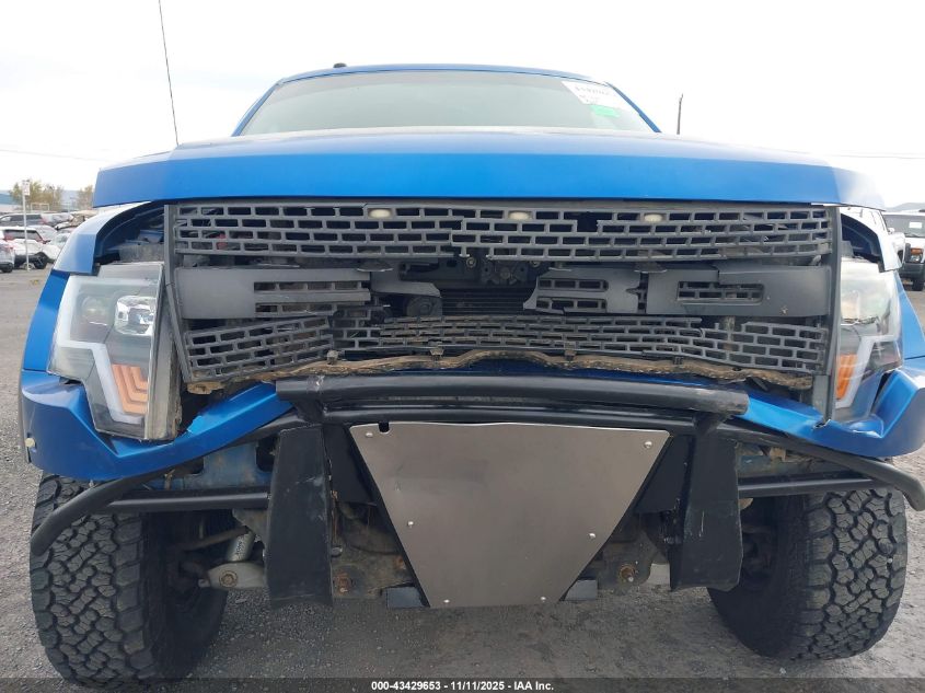 2010 Ford F-150 Svt Raptor VIN: 1FTEX1E68AFA59011 Lot: 43429653