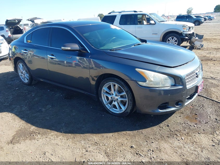 NISSAN MAXIMA 3.5 SV