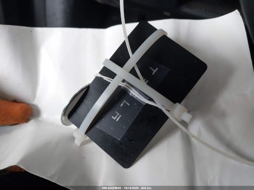 2023 Tesla Model 3 Rear-Wheel Drive VIN: 5YJ3E1EA5PF693455 Lot: 43429845