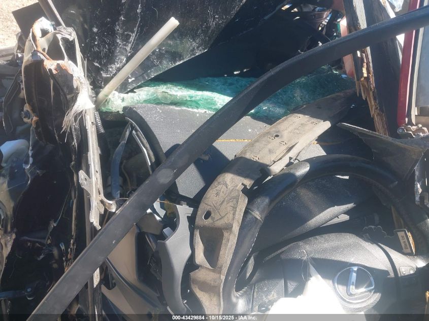 2006 Lexus Is 250 VIN: JTHBK262465025453 Lot: 43429884