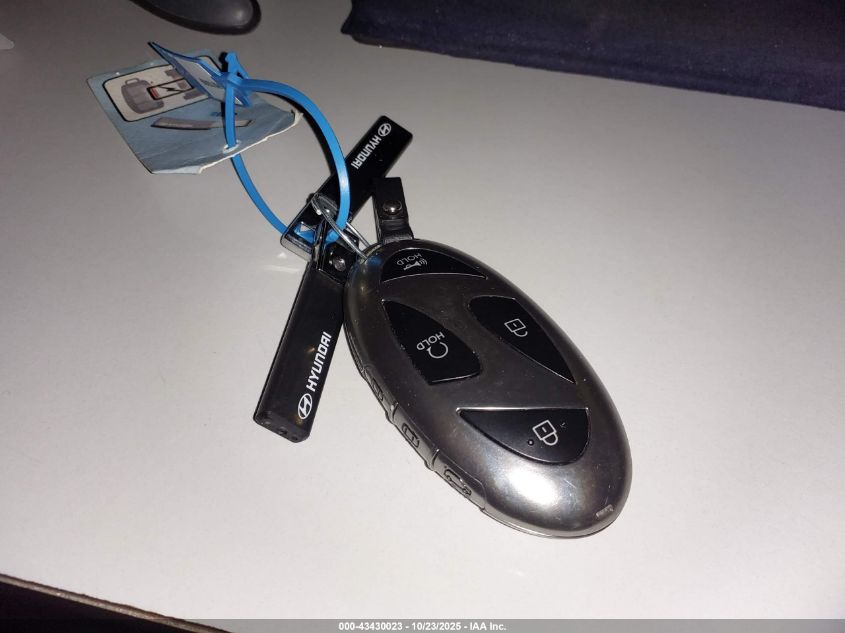 2024 Hyundai Santa Fe Calligraphy VIN: 5NMP54GL1RH059000 Lot: 43430023