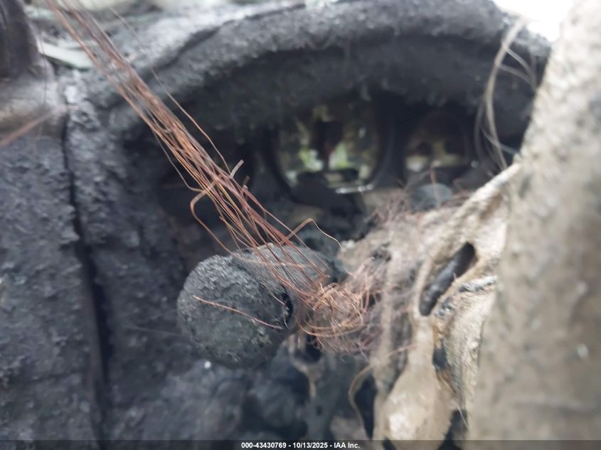 2004 Ford F-150 Fx4/Lariat/Xlt VIN: 1FTPW14514KD65595 Lot: 43430769