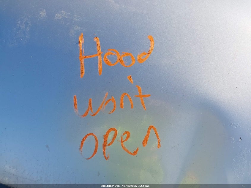 2006 Pontiac Solstice VIN: 1G2MB33B56Y101625 Lot: 43431216