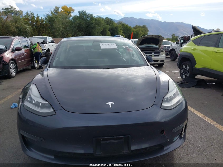 2020 Tesla Model 3 Long Range Dual Motor All-Wheel Drive VIN: 5YJ3E1EB0LF787438 Lot: 43431658
