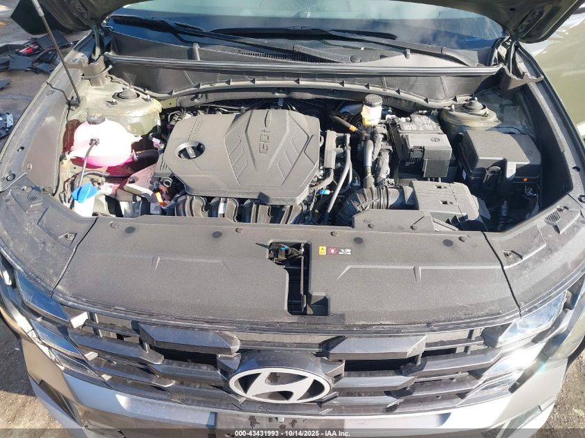 2025 Hyundai Tucson Sel VIN: 5NMJBCDE9SH485876 Lot: 43431993