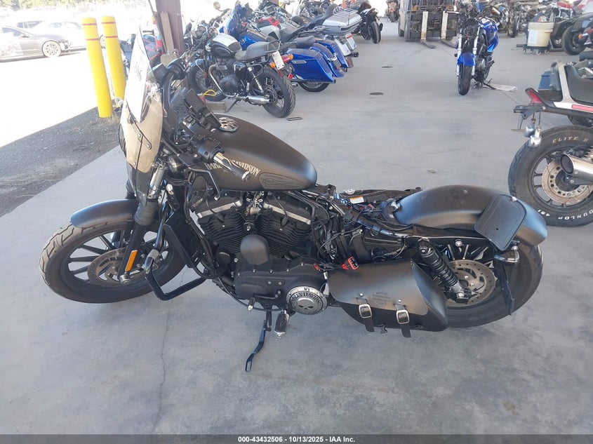 2014 Harley-Davidson Xl883 Iron 883 VIN: 1HD4LE217EC439535 Lot: 43432506