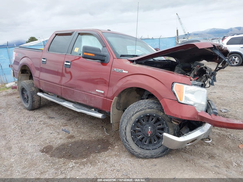 FORD F-150 XLT