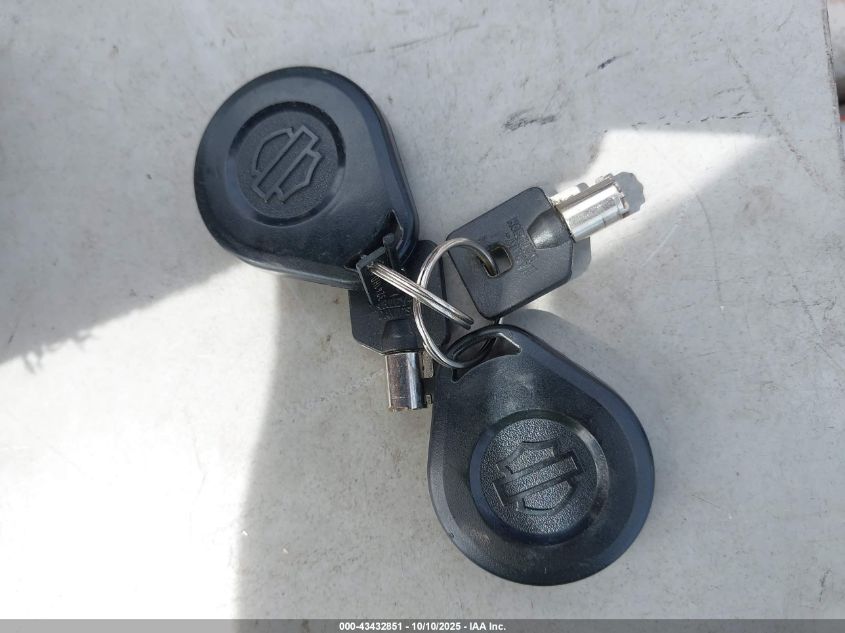 2009 Harley-Davidson Flhx VIN: 1HD1KB41X9Y648469 Lot: 43432851