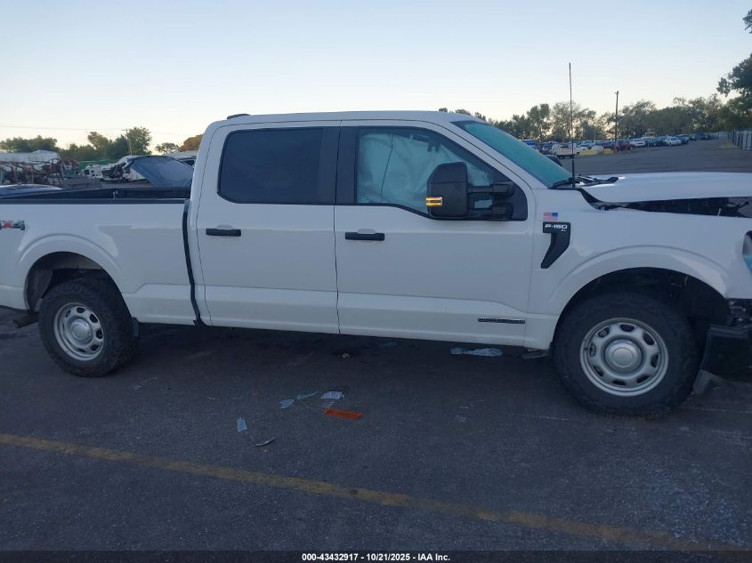 2023 Ford F-150 Xl VIN: 1FTFW1ED5PFD25423 Lot: 43432917