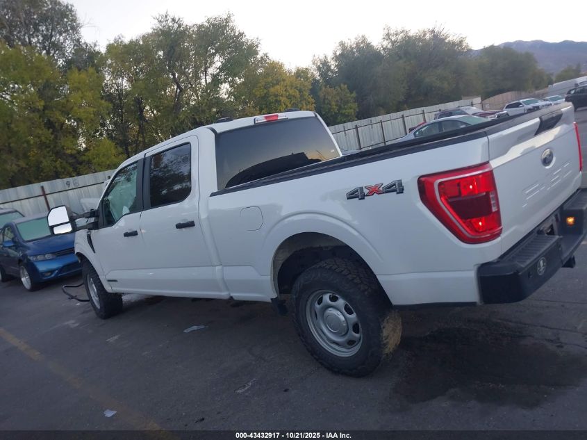 2023 Ford F-150 Xl VIN: 1FTFW1ED5PFD25423 Lot: 43432917