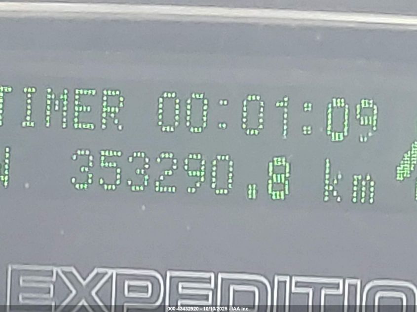 2007 Ford Expedition Eddie Bauer VIN: 1FMFU17517LA68589 Lot: 43432920