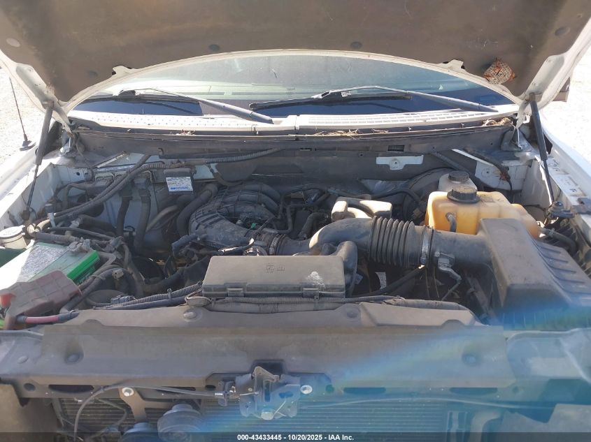 2011 Ford F-150 Xl VIN: 1FTMF1CM8BKE10590 Lot: 43433445