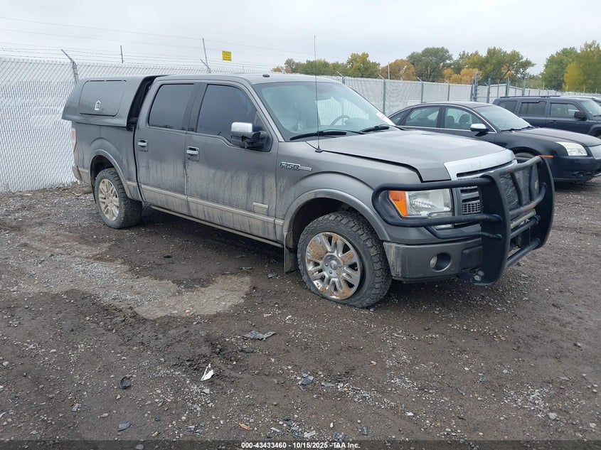 FORD F-150 PLATINUM