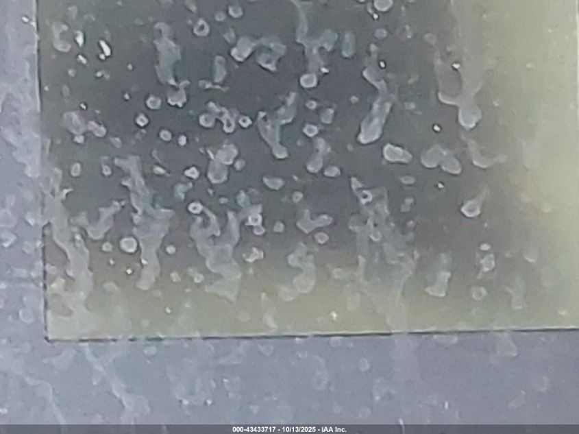 2019 Ford F-250 Xl VIN: 1FDBF2A63KED43067 Lot: 43433717