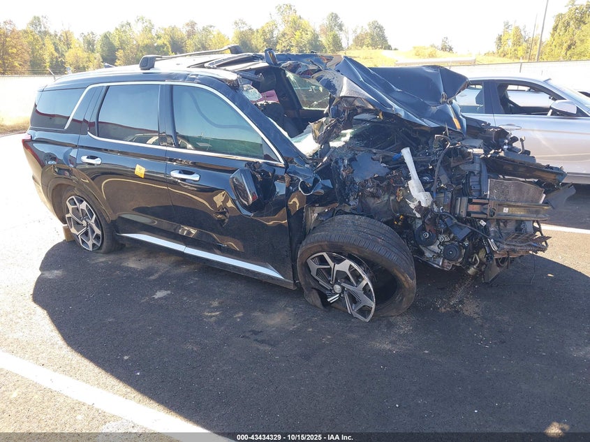 HYUNDAI PALISADE CALLIGRAPHY