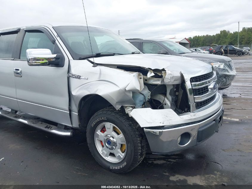 2013 Ford F-150 Xlt VIN: 1FTEW1CMXDFB31903 Lot: 43434352