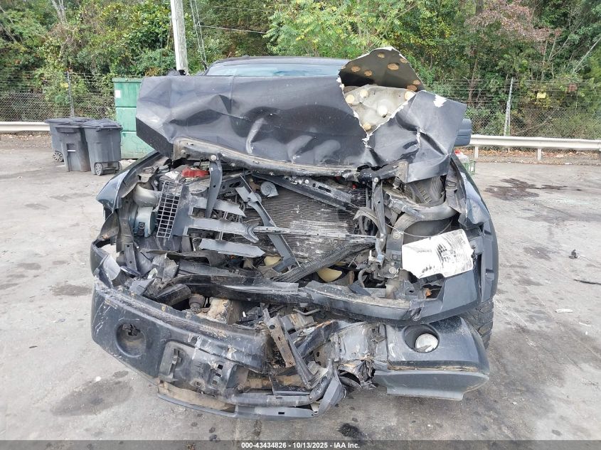 2009 Ford F-150 Stx/Xl/Xlt VIN: 1FTRX12829FA40859 Lot: 43434826