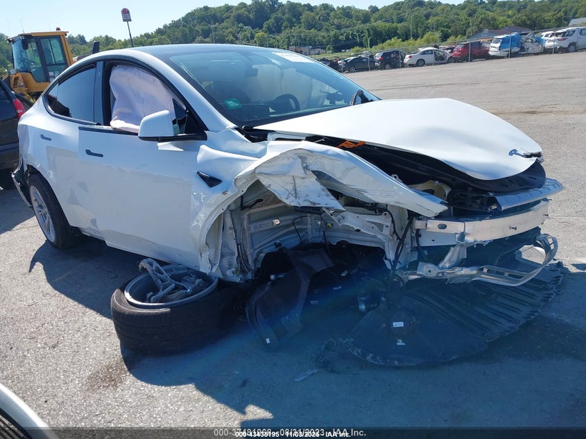 7SAYGDEE0PF624311 2023 TESLA MODEL Y photo no. 6
