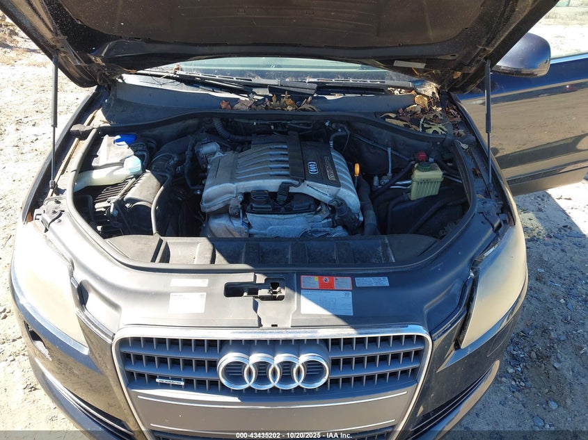 2009 Audi Q7 3.6 5 Passenger/3.6 Premium VIN: WA1AY74L69D017444 Lot: 43435202