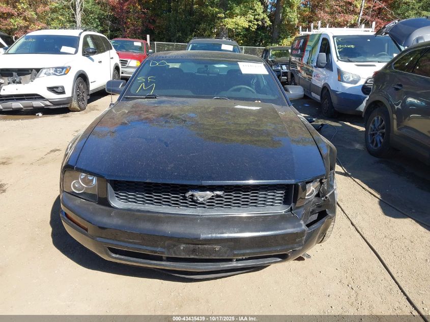 2009 Ford Mustang V6/V6 Premium VIN: 1ZVHT80NX95127548 Lot: 43435439