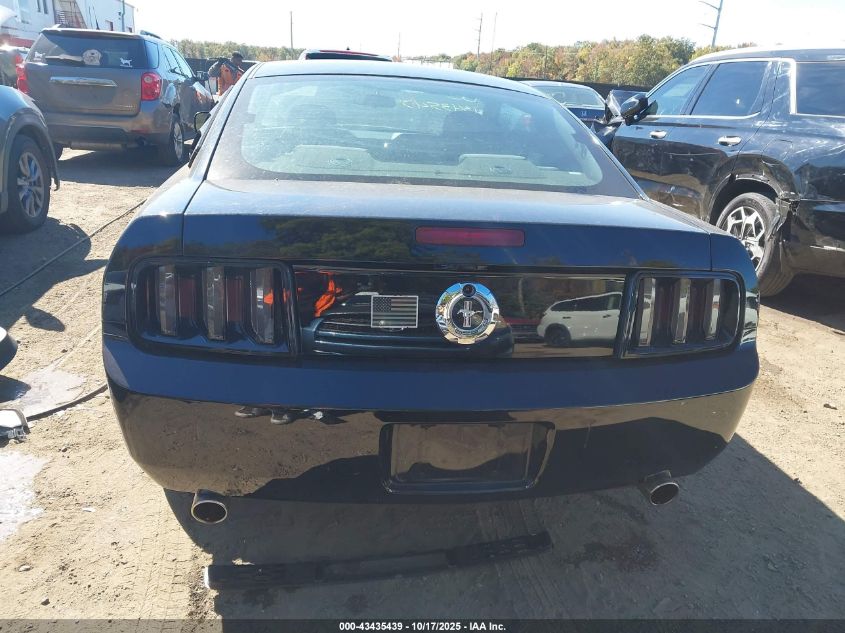 2009 Ford Mustang V6/V6 Premium VIN: 1ZVHT80NX95127548 Lot: 43435439