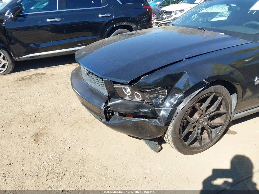 2009 Ford Mustang V6/V6 Premium VIN: 1ZVHT80NX95127548 Lot: 43435439