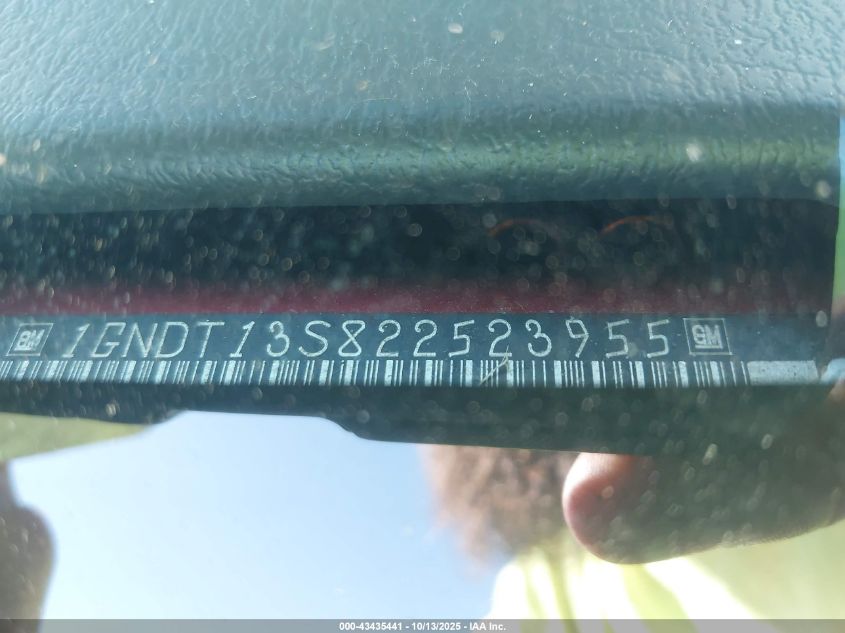 2002 Chevrolet Trailblazer Lt VIN: 1GNDT13S822523955 Lot: 43435441