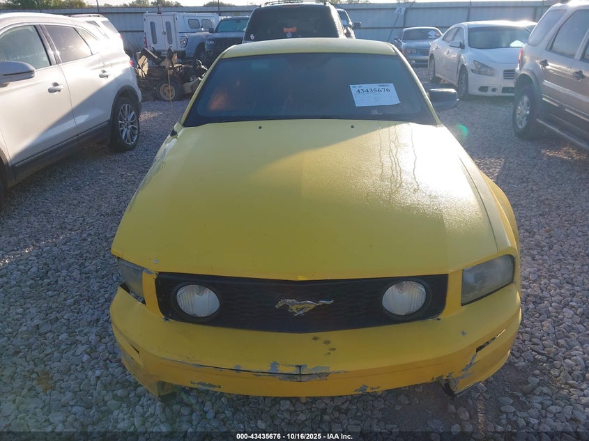 2006 Ford Mustang V6 VIN: 1ZVFT80N365135462 Lot: 43435676