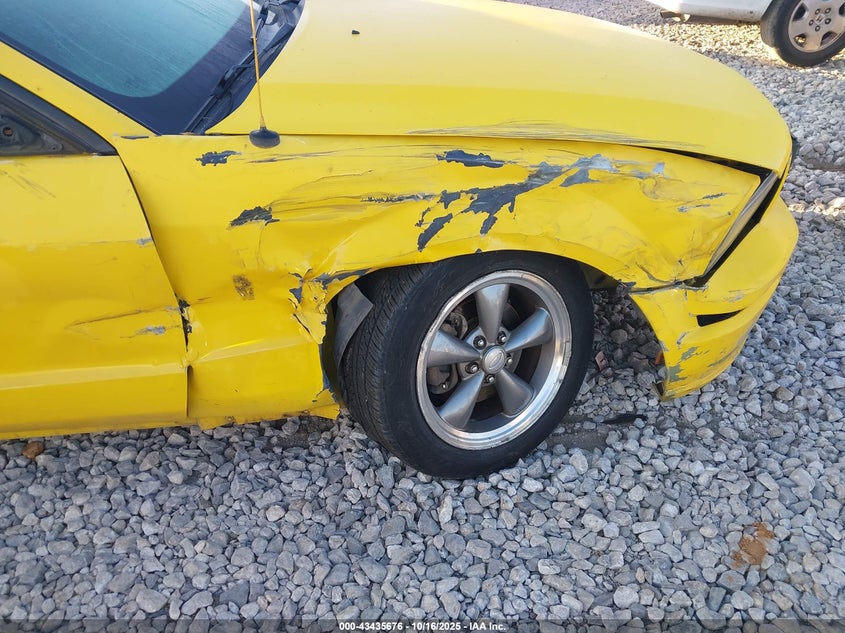 2006 Ford Mustang V6 VIN: 1ZVFT80N365135462 Lot: 43435676