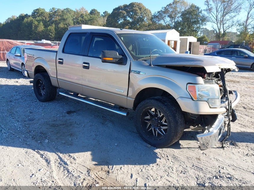 FORD F-150 XLT
