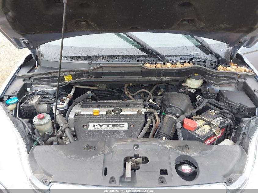 2007 Honda Cr-V Ex-L VIN: JHLRE38797C010307 Lot: 43436331