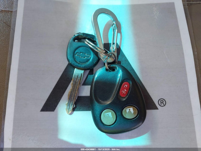 2003 Chevrolet Avalanche 1500 VIN: 3GNEK13T63G245260 Lot: 43436661