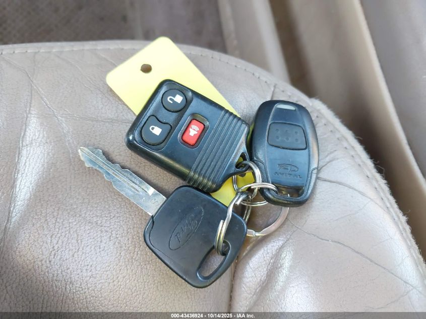 1999 Ford Expedition Eddie Bauer/Xlt VIN: 1FMPU18L6XLA46458 Lot: 43436924