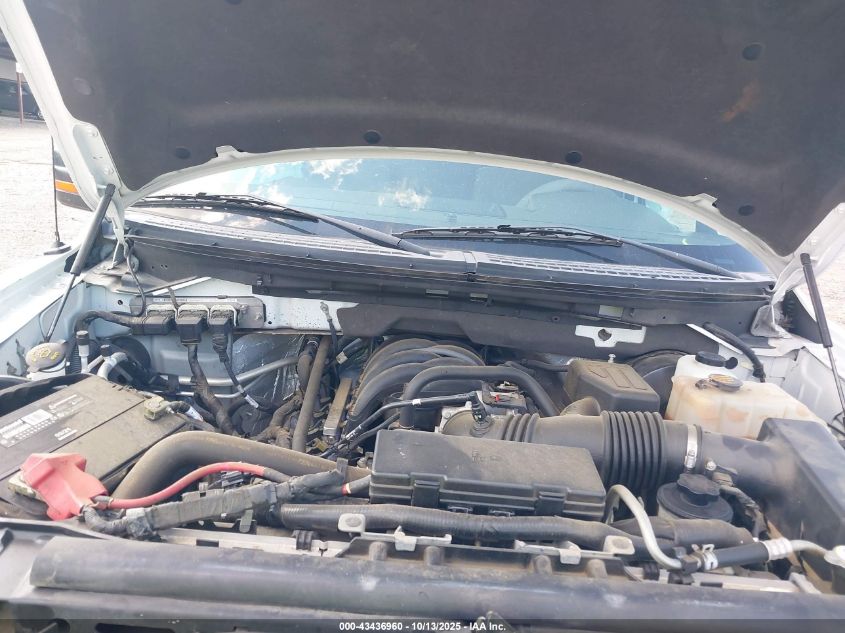 2010 Ford F-150 Fx2 Sport/Xl/Xlt VIN: 1FTEW1C89AFD04146 Lot: 43436960